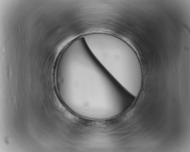 X0000099530995200805160721