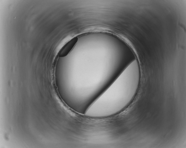 X0000099530997200805160721