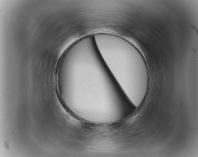X0000099530999200805160721