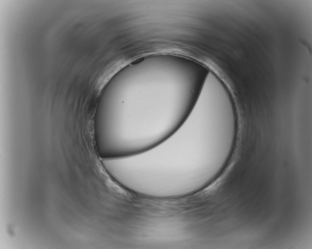 X0000099531001200805160721