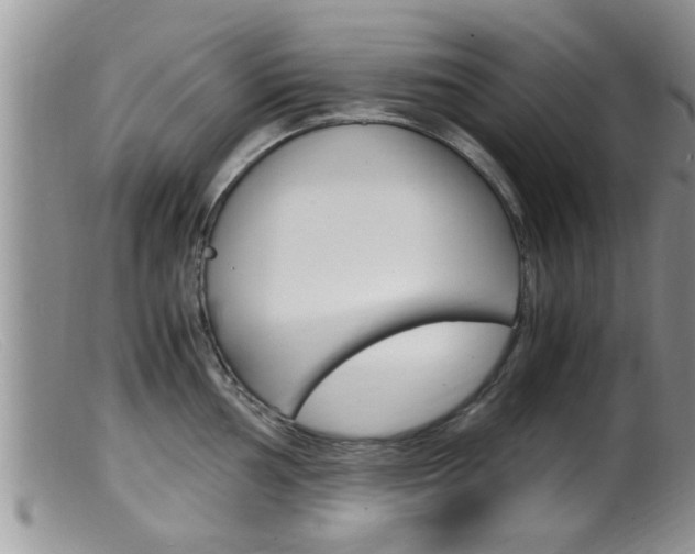 X0000099531002200805160721