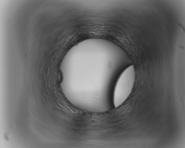 X0000099531009200805160720