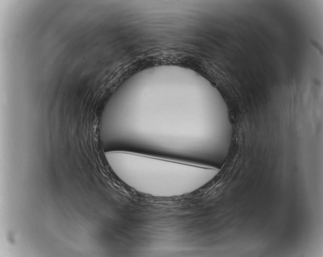 X0000099531010200805160720