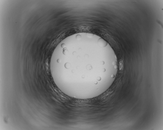 X0000099531011200805160720