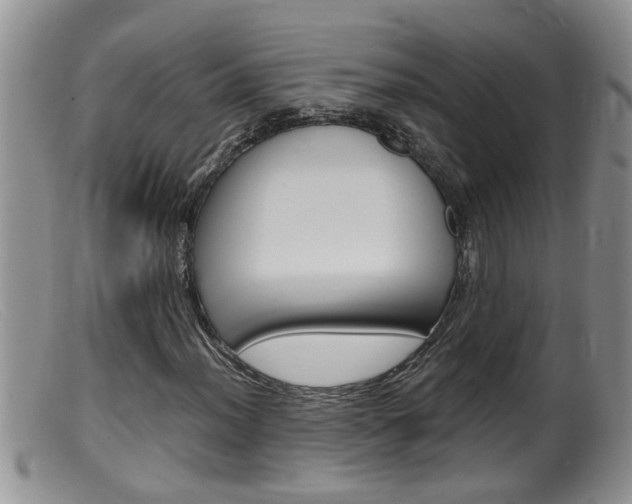 X0000099531012200805160720
