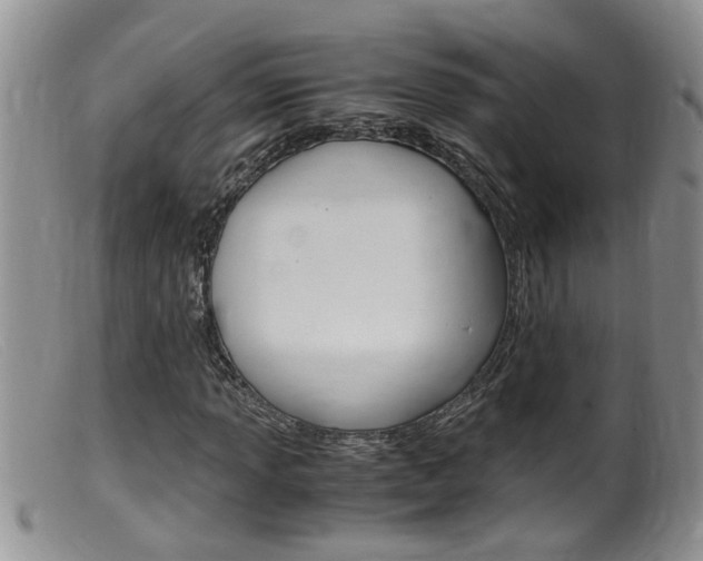 X0000099531013200805160720