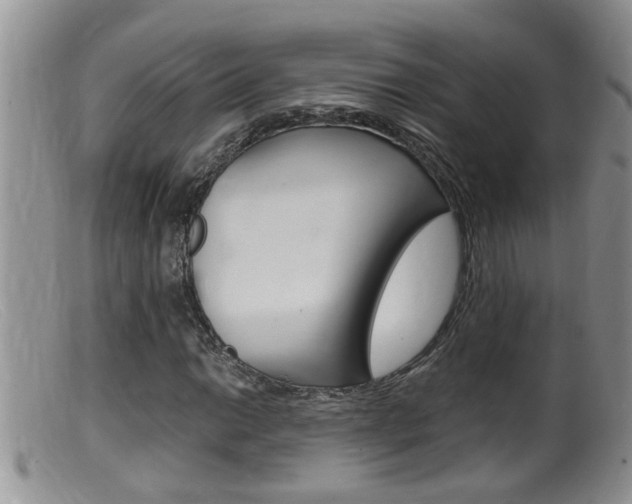 X0000099531014200805160720