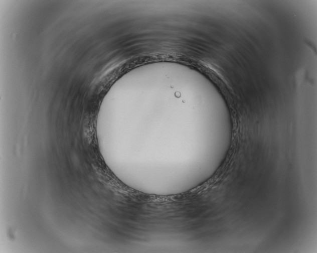 X0000099531015200805160720