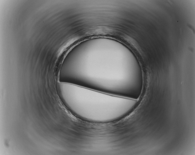 X0000099531018200805160720