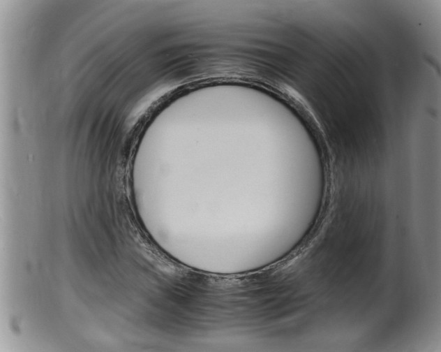X0000099531019200805160720