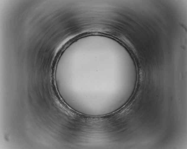 X0000099531020200805160720