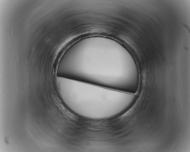 X0000099531021200805160720