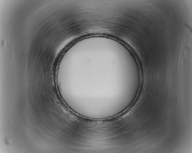 X0000099531022200805160720
