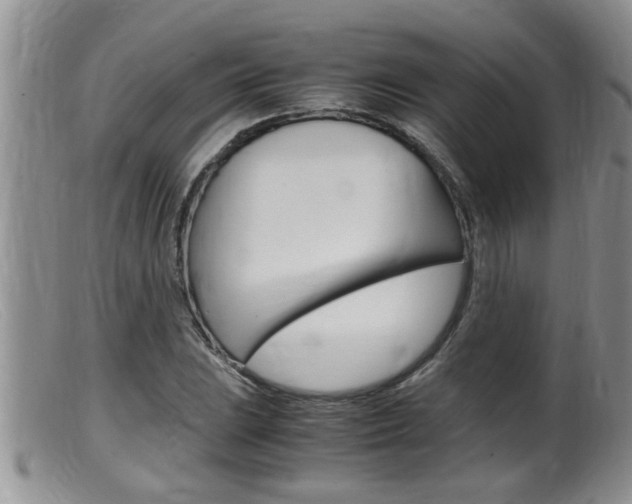 X0000099531023200805160720