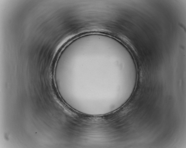 X0000099531024200805160720