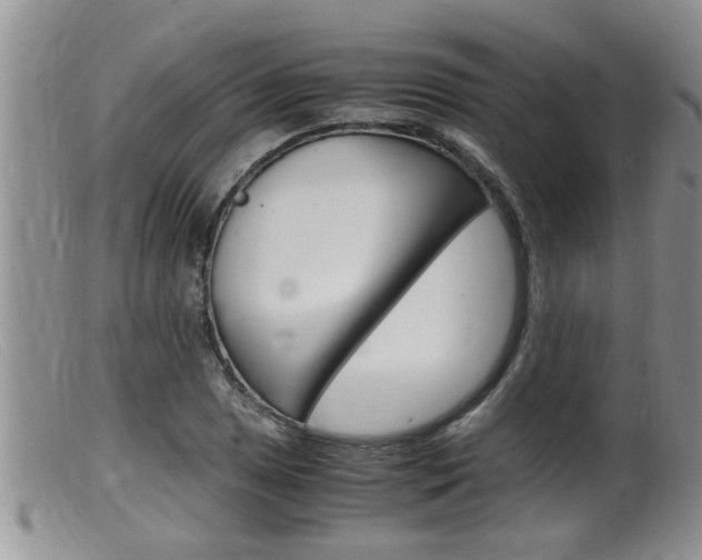 X0000099531025200805160720
