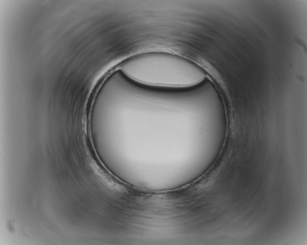 X0000099531028200805160720