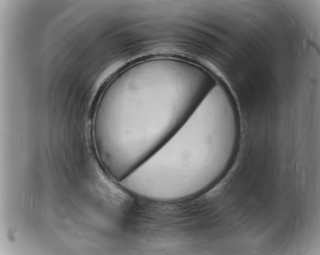 X0000099531029200805160720