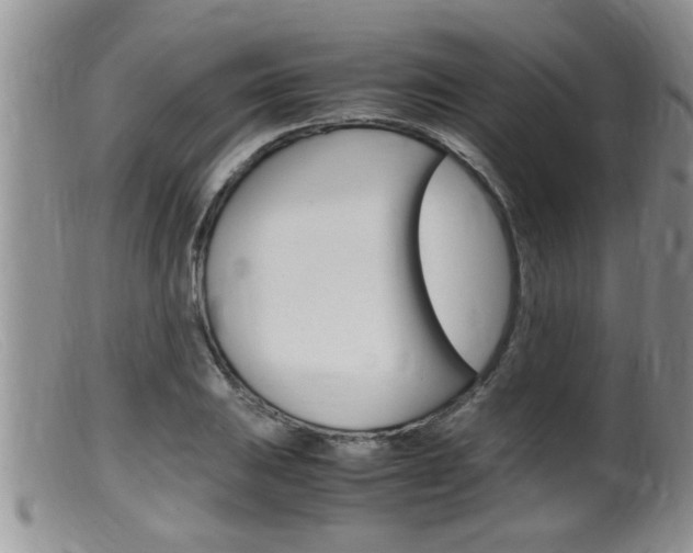 X0000099531031200805160720
