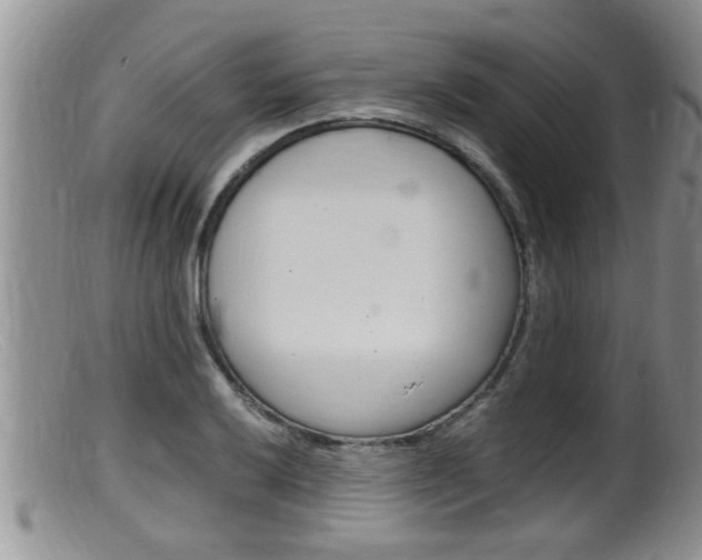 X0000099531032200805160720