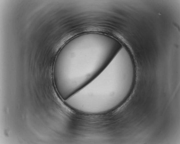 X0000099531033200805160720