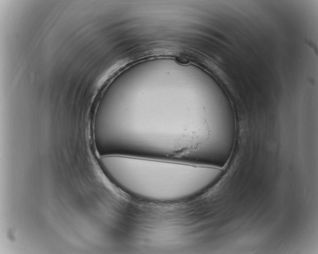 X0000099531034200805160720