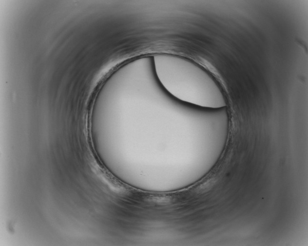 X0000099531035200805160720
