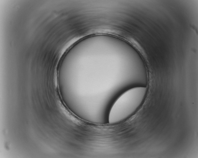 X0000099531036200805160720