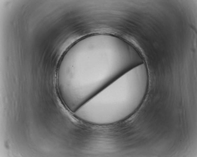 X0000099531040200805160720
