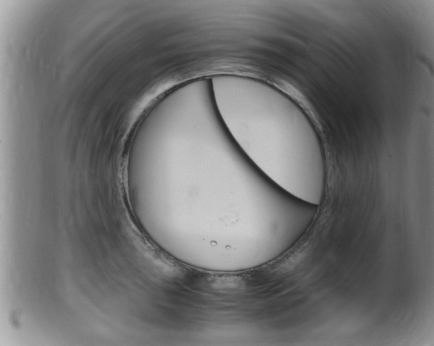 X0000099531043200805160720