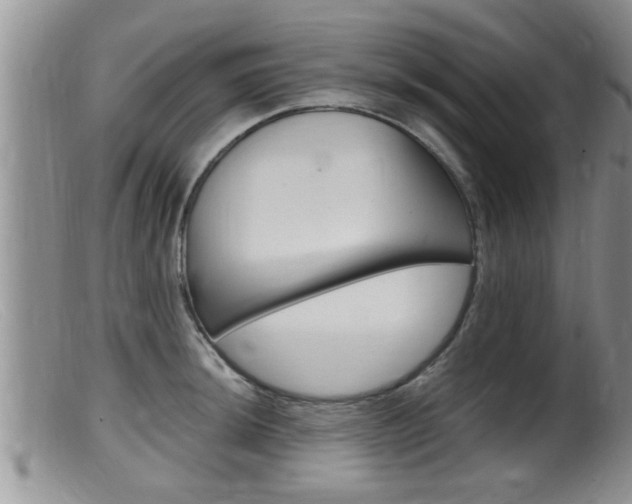 X0000099531044200805160720