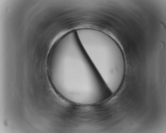X0000099531045200805160720