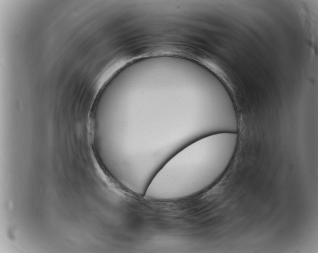 X0000099531047200805160720