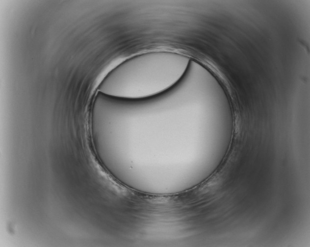 X0000099531048200805160720