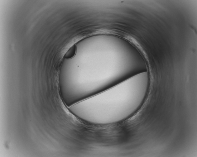 X0000099531049200805160720