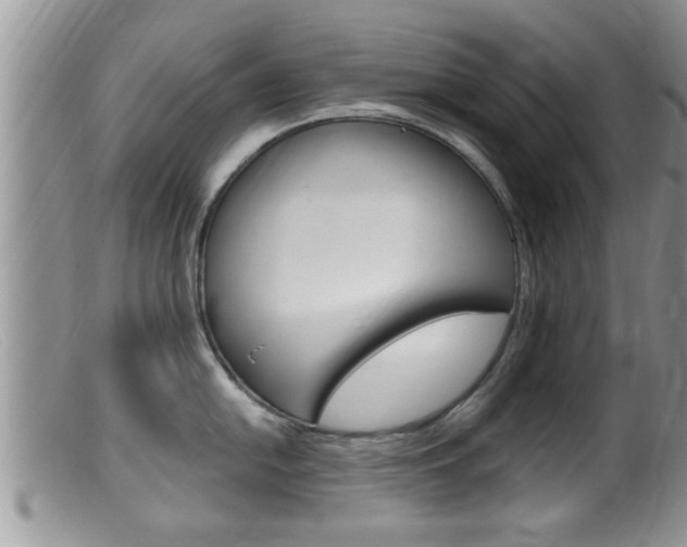 X0000099531054200805160721