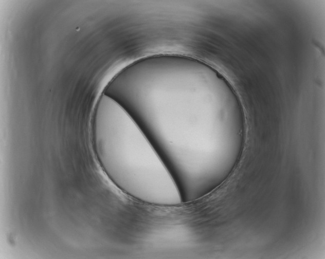X0000099531056200805160721