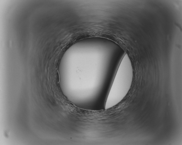 X0000099531057200805160720