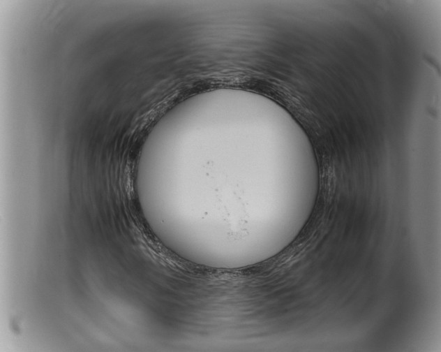 X0000099531058200805160720