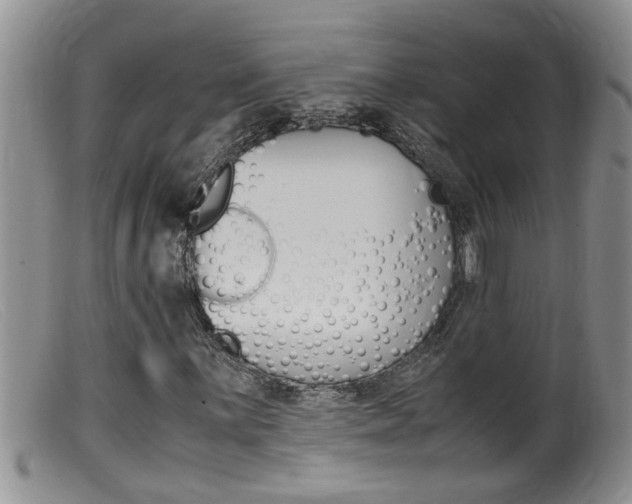 X0000099531059200805160720