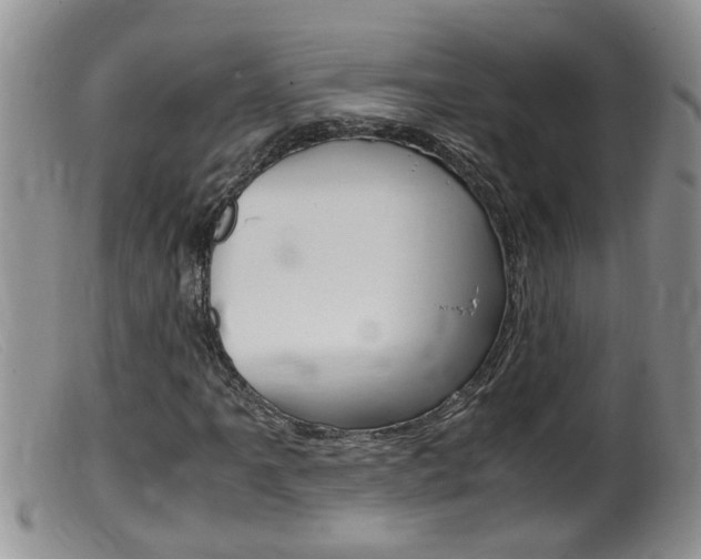 X0000099531061200805160720