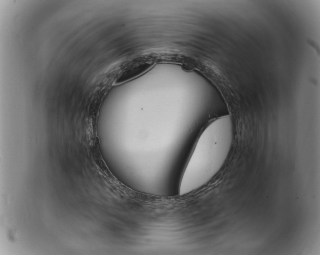 X0000099531062200805160720