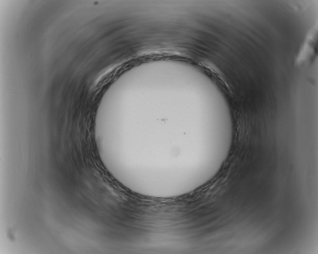 X0000099531064200805160720