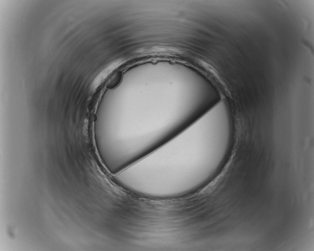 X0000099531066200805160720