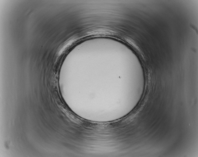 X0000099531067200805160720