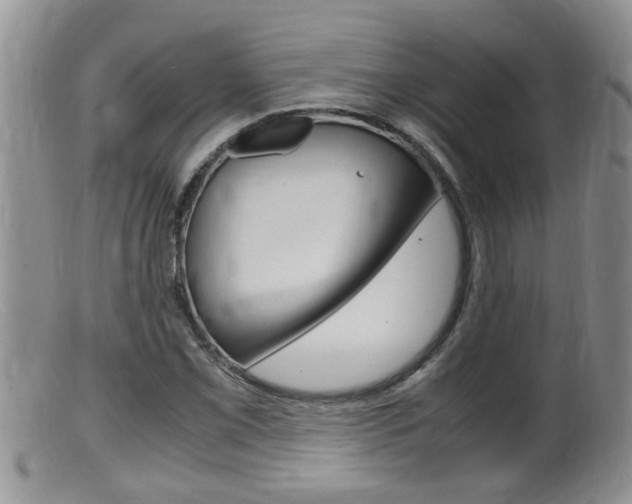 X0000099531069200805160720