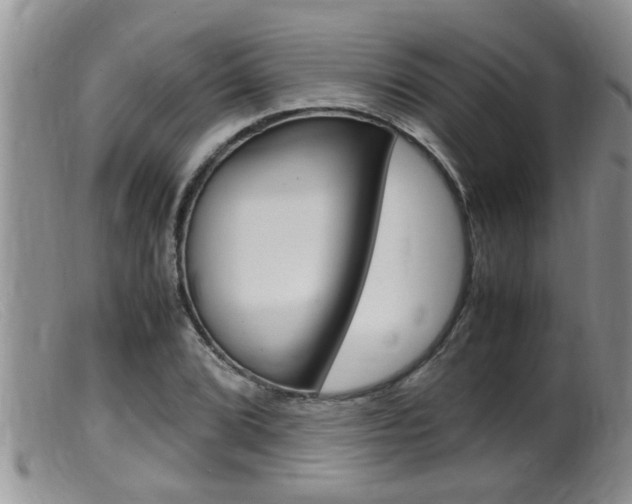 X0000099531072200805160720