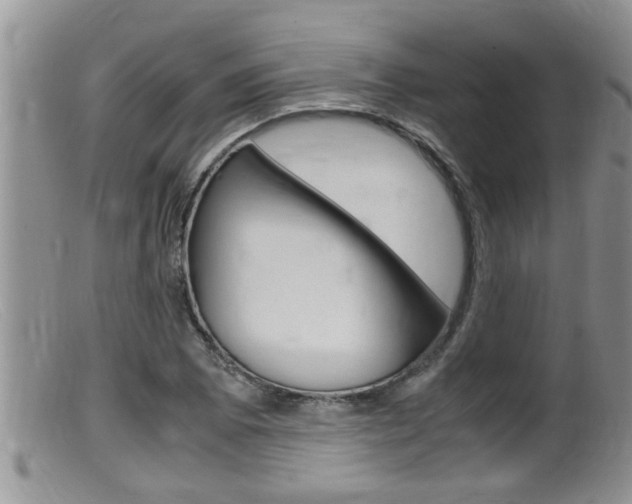 X0000099531073200805160720