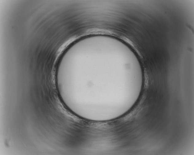 X0000099531074200805160719