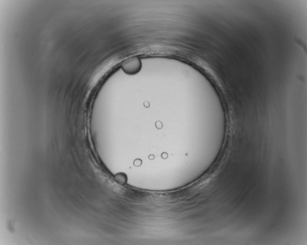 X0000099531075200805160719